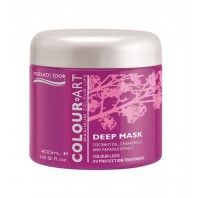 Natural Look Colour Art Deep Mask 400g